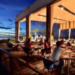 Best Local Restaurants in Sarasota