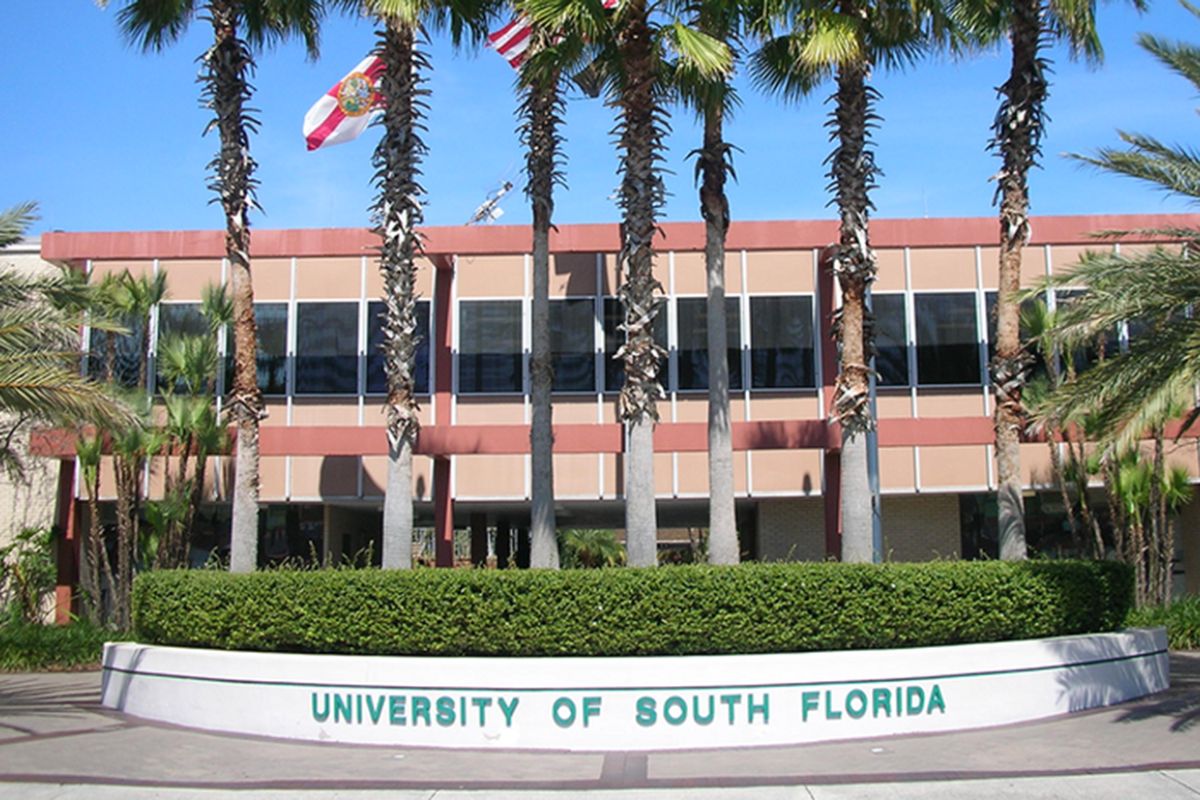 University of South Florida